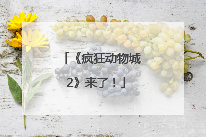 《疯狂动物城2》来了！