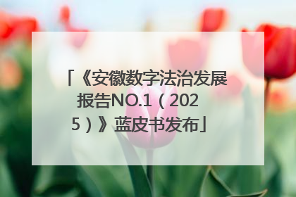 《安徽数字法治发展报告NO.1（2025）》蓝皮书发布