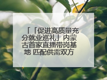 「促进高质量充分就业巡礼」内蒙古首家直播带岗基地 匹配供需双方 促进上岗就业