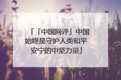 「中国网评」中国始终是守护人类和平安宁的中坚力量