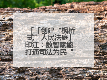 「创建“枫桥式”人民法庭」印江：数智赋能打通司法为民“最后一公里”
