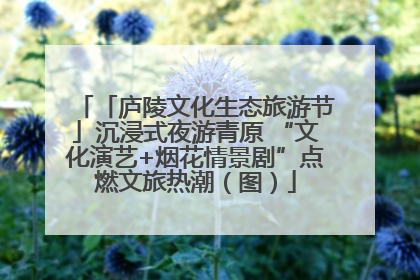 「庐陵文化生态旅游节」沉浸式夜游青原 “文化演艺+烟花情景剧”点燃文旅热潮（图）