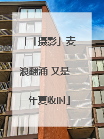 「摄影」麦浪翻涌 又是一年夏收时