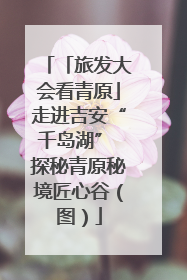 「旅发大会看青原」走进吉安“千岛湖” 探秘青原秘境匠心谷（图）