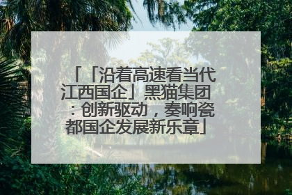 「沿着高速看当代江西国企」黑猫集团：创新驱动，奏响瓷都国企发展新乐章