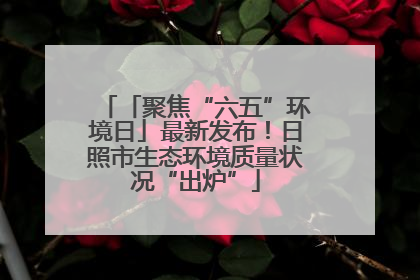 「聚焦“六五”环境日」最新发布！日照市生态环境质量状况“出炉”