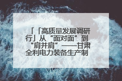 「高质量发展调研行」从“面对面”到“肩并肩”——甘肃全利电力装备生产制造项目一线见闻