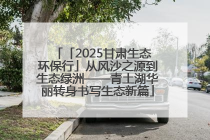 「2025甘肃生态环保行」从风沙之源到生态绿洲——青土湖华丽转身书写生态新篇