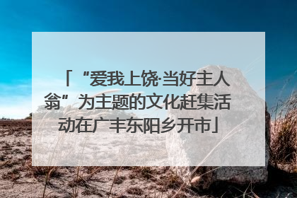“爱我上饶·当好主人翁”为主题的文化赶集活动在广丰东阳乡开市
