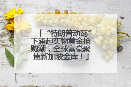 “特朗普动荡”下涌起实物黄金抢购潮，全球富豪聚焦新加坡金库！