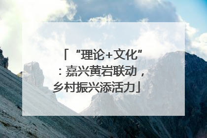 “理论+文化”：嘉兴黄岩联动，乡村振兴添活力
