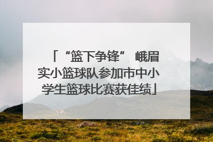 “篮下争锋” 峨眉实小篮球队参加市中小学生篮球比赛获佳绩