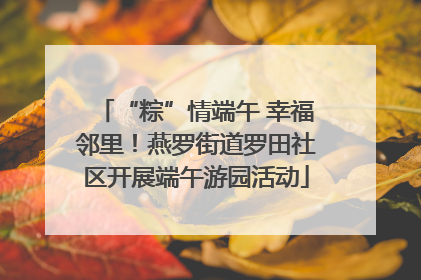 “粽”情端午 幸福邻里！燕罗街道罗田社区开展端午游园活动
