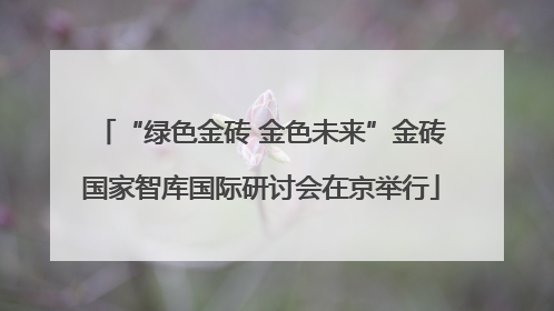 “绿色金砖 金色未来”金砖国家智库国际研讨会在京举行