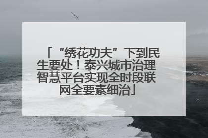 “绣花功夫”下到民生要处！泰兴城市治理智慧平台实现全时段联网全要素细治
