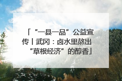 “一县一品”公益宣传丨武冈：卤水里熬出“草根经济”的醇香
