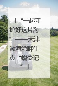 “一起守护好这片海”——天津渤海湾畔生态“蜕变记”