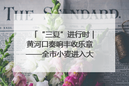 “三夏”进行时｜黄河口奏响丰收乐章——全市小麦进入大面积收获高峰期