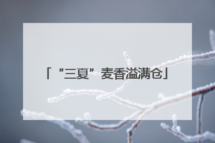“三夏”麦香溢满仓