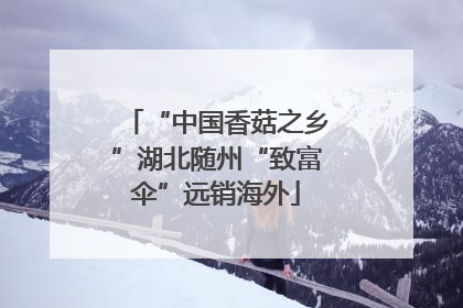 “中国香菇之乡”湖北随州“致富伞”远销海外