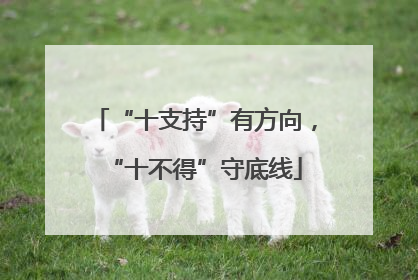 “十支持”有方向，“十不得”守底线