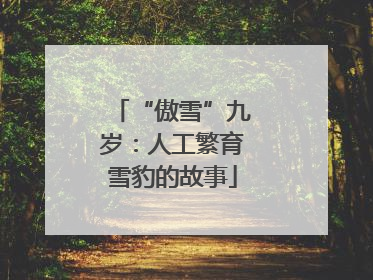 “傲雪”九岁：人工繁育雪豹的故事