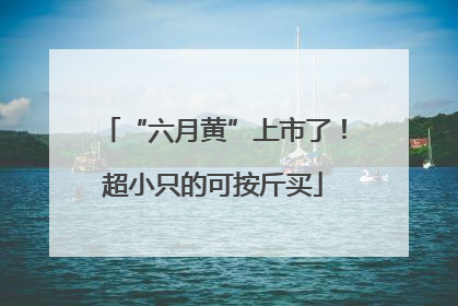 “六月黄”上市了！超小只的可按斤买