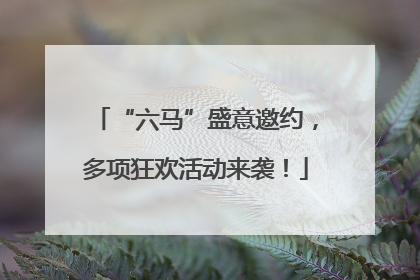 “六马”盛意邀约，多项狂欢活动来袭！