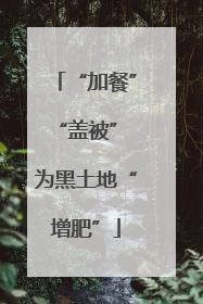 “加餐”“盖被” 为黑土地“增肥”