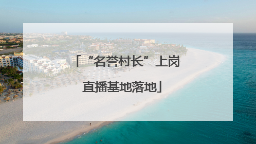 “名誉村长”上岗 直播基地落地