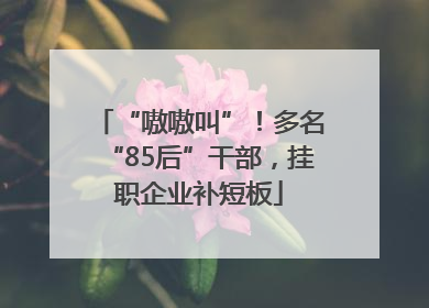 “嗷嗷叫”！多名“85后”干部，挂职企业补短板