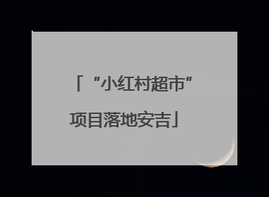“小红村超市”项目落地安吉