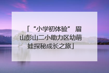 “小学初体验” 眉山彭山二小助力区幼萌娃探秘成长之旅