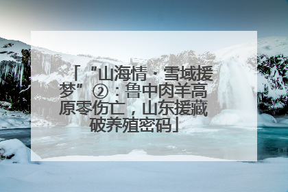 “山海情・雪域援梦”②：鲁中肉羊高原零伤亡，山东援藏破养殖密码