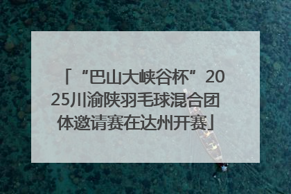 “巴山大峡谷杯”2025川渝陕羽毛球混合团体邀请赛在达州开赛