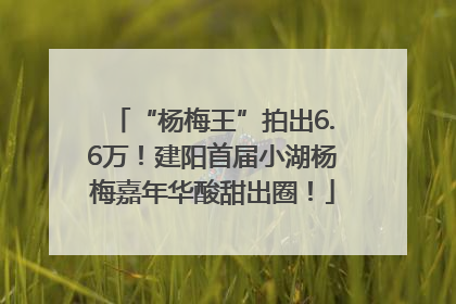 “杨梅王”拍出6.6万！建阳首届小湖杨梅嘉年华酸甜出圈！