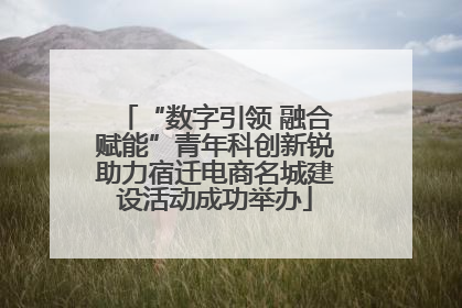 “数字引领 融合赋能”青年科创新锐助力宿迁电商名城建设活动成功举办