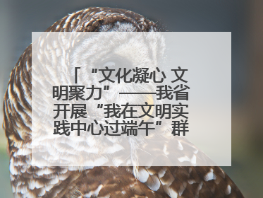 “文化凝心 文明聚力”——我省开展“我在文明实践中心过端午”群众主题活动