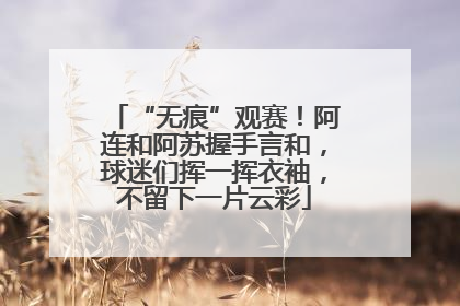 “无痕”观赛！阿连和阿苏握手言和，球迷们挥一挥衣袖，不留下一片云彩