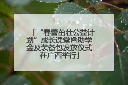 “春蕾茁壮公益计划”成长课堂暨助学金及装备包发放仪式在广西举行