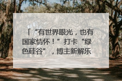 “有世界眼光，也有国家情怀！”打卡“绿色硅谷”，博主新解乐山｜网络名人四川行
