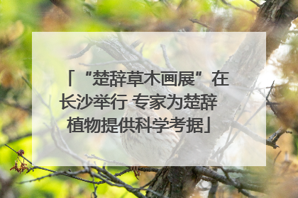 “楚辞草木画展”在长沙举行 专家为楚辞植物提供科学考据