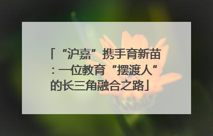 “沪嘉”携手育新苗：一位教育“摆渡人”的长三角融合之路