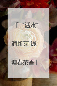 “活水”润新芽 钱塘春茶香