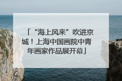 “海上风来”吹进京城！上海中国画院中青年画家作品展开幕