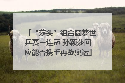“莎头”组合圆梦世乒赛三连冠 孙颖莎回应能否携手再战奥运