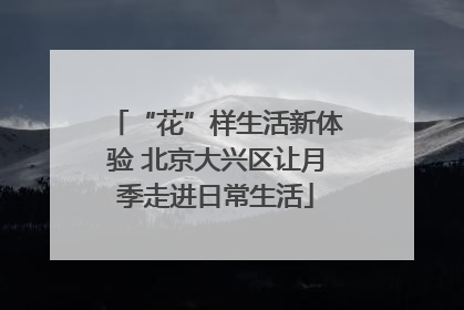 “花”样生活新体验 北京大兴区让月季走进日常生活