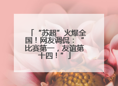“苏超”火爆全国！网友调侃：“比赛第一，友谊第十四！”