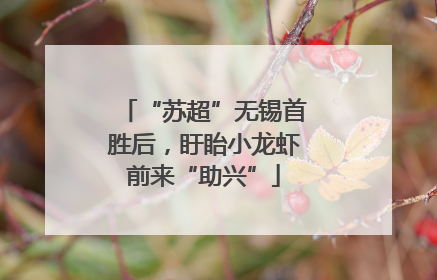 “苏超”无锡首胜后，盱眙小龙虾前来“助兴”