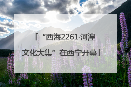 “西海2261·河湟文化大集”在西宁开幕
